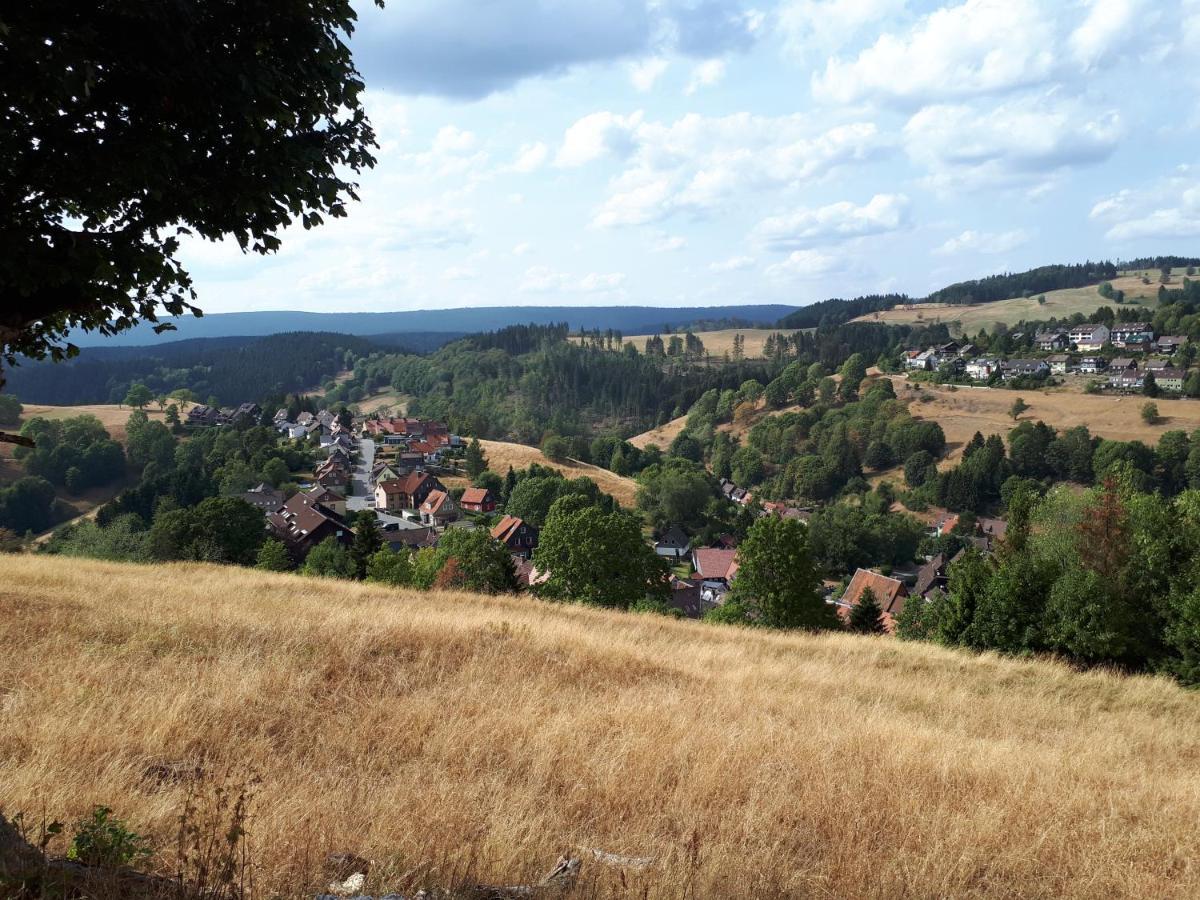 Traumharz Leilighet Sankt Andreasberg Eksteriør bilde